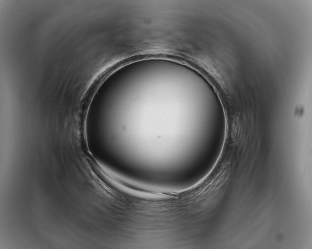 X0000098221356200805011224