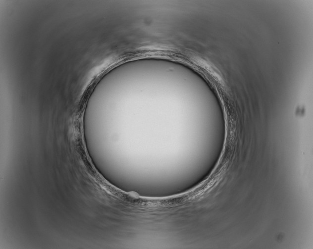 X0000098221357200805011224