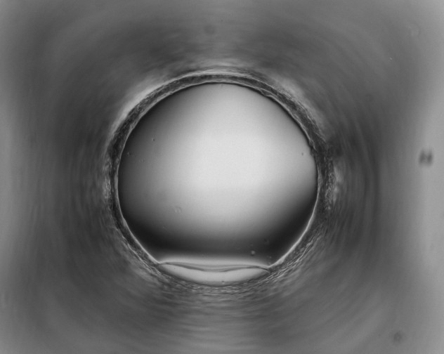 X0000098221360200805011224