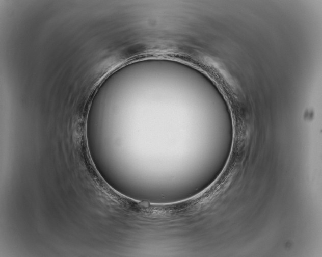 X0000098221361200805011224