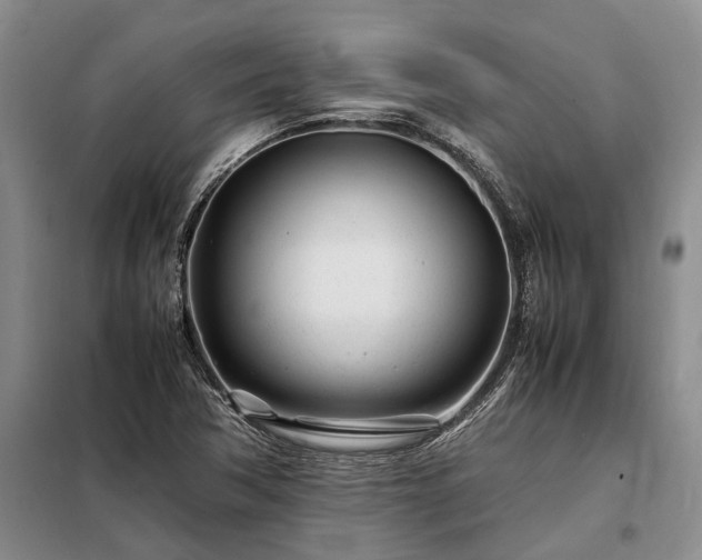 X0000098221362200805011224