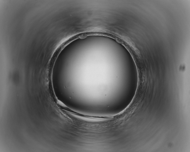 X0000098221364200805011224