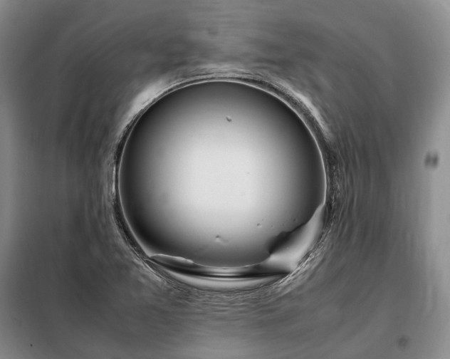 X0000098221365200805011224