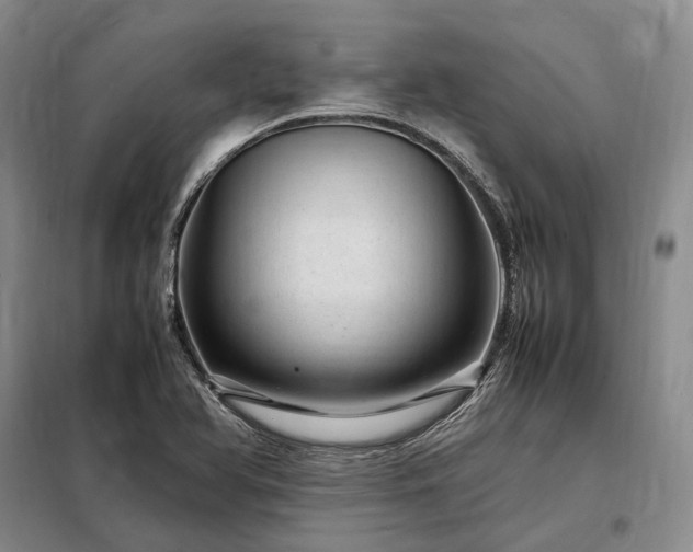 X0000098221366200805011224