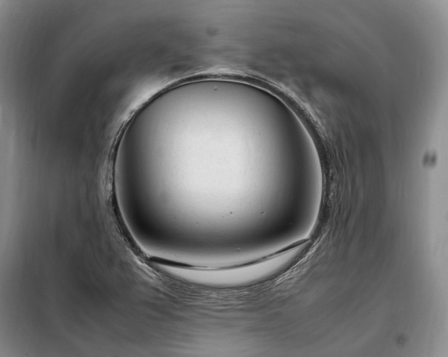 X0000098221367200805011224