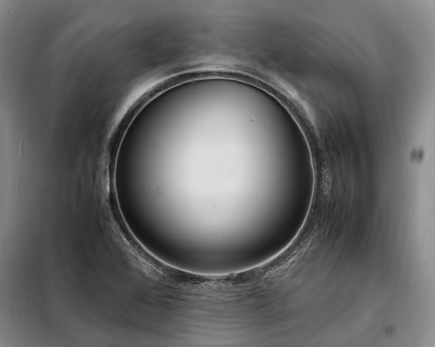 X0000098221368200805011224