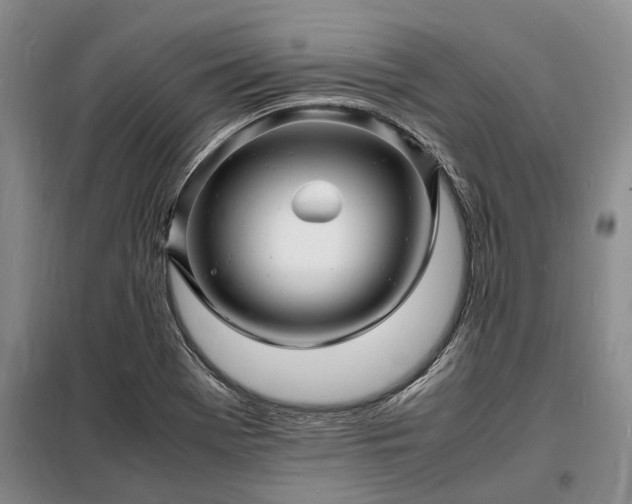 X0000098221369200805011224