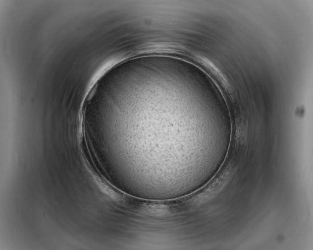 X0000098221370200805011224