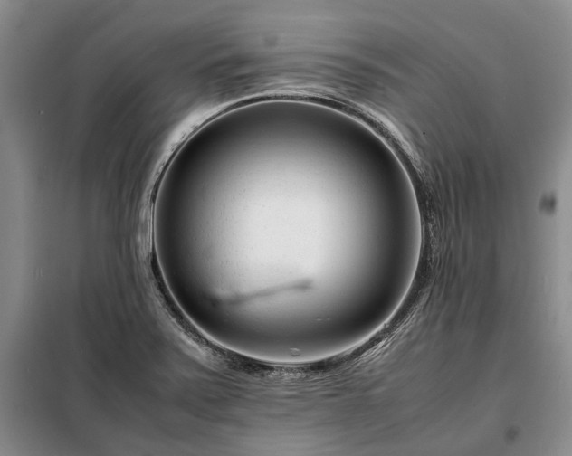 X0000098221371200805011224