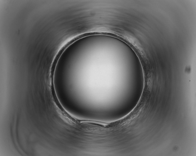 X0000098221372200805011224