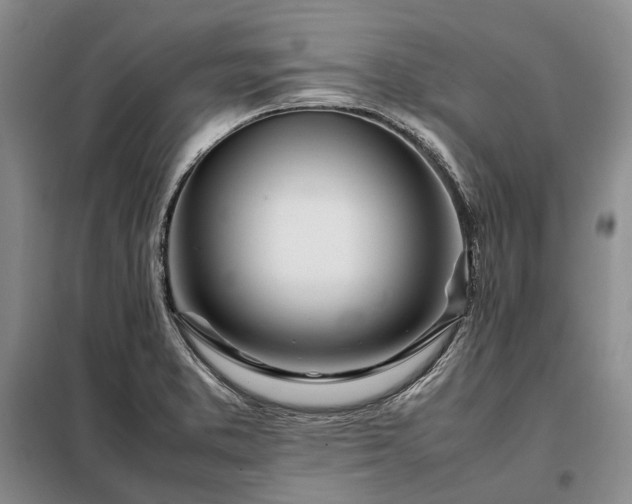 X0000098221373200805011224