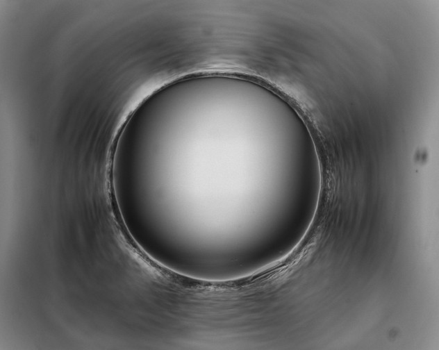 X0000098221374200805011224
