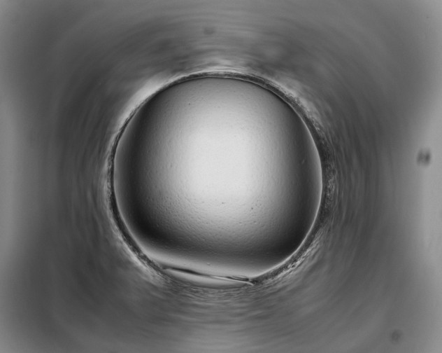 X0000098221375200805011224