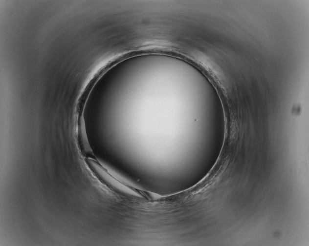X0000098221376200805011224