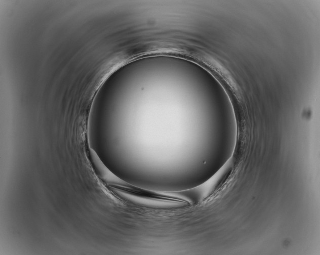X0000098221377200805011224