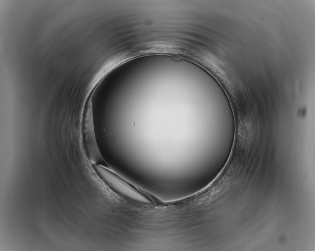X0000098221378200805011224