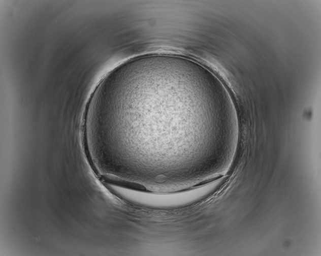 X0000098221379200805011224