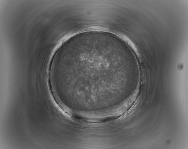 X0000098221381200805011224
