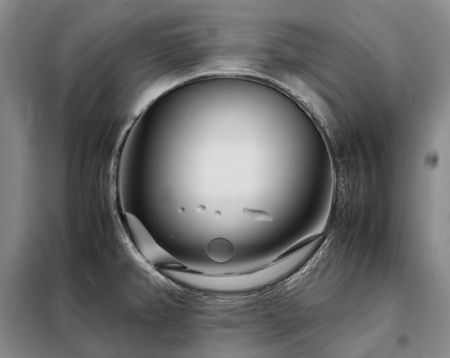 X0000098221382200805011224