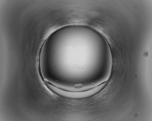 X0000098221383200805011224