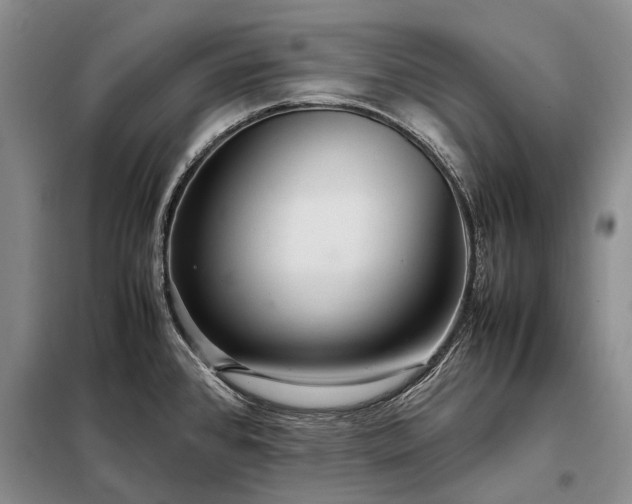 X0000098221384200805011224