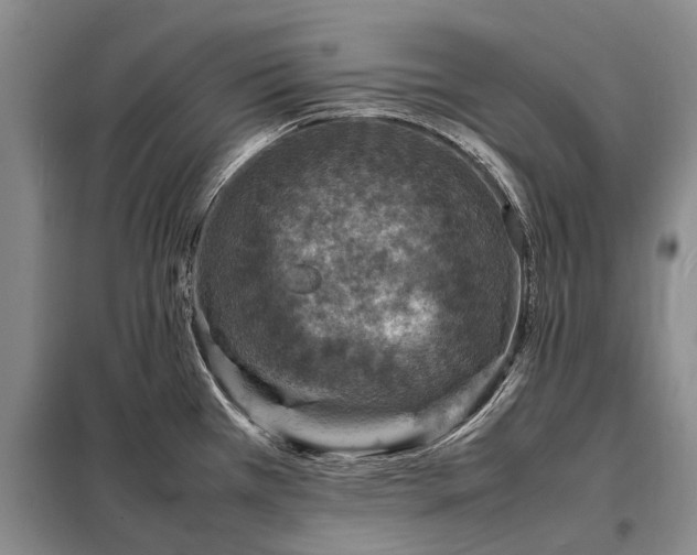 X0000098221385200805011224