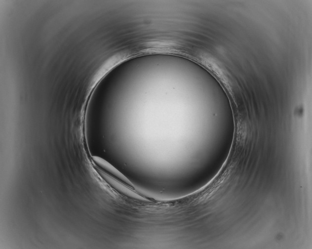 X0000098221386200805011224