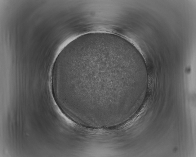 X0000098221387200805011224