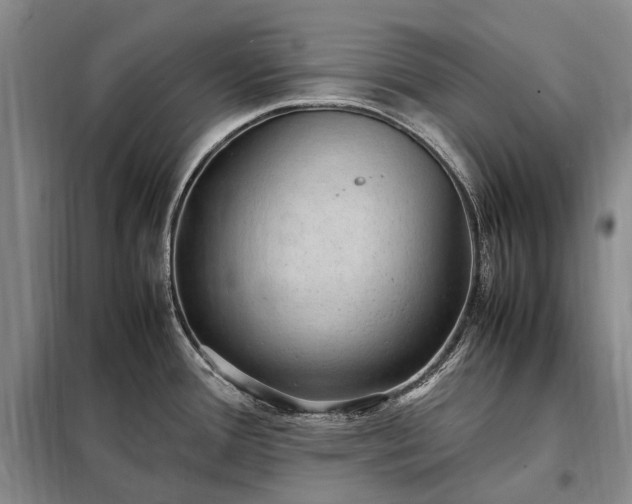 X0000098221388200805011224