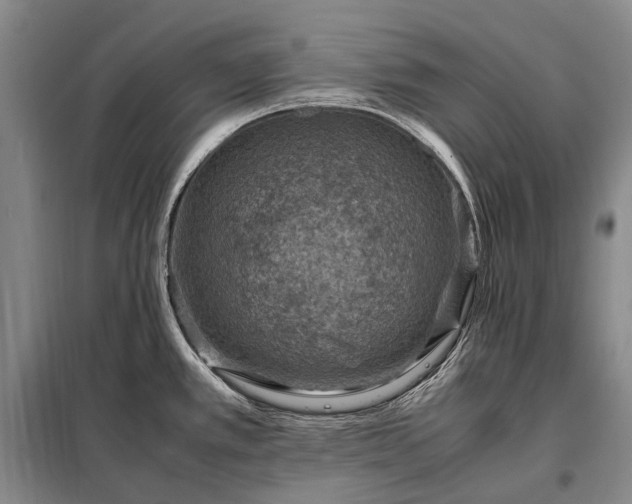 X0000098221389200805011224