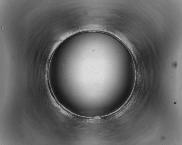 X0000098221390200805011224