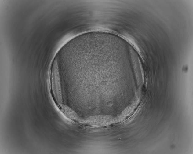 X0000098221391200805011224