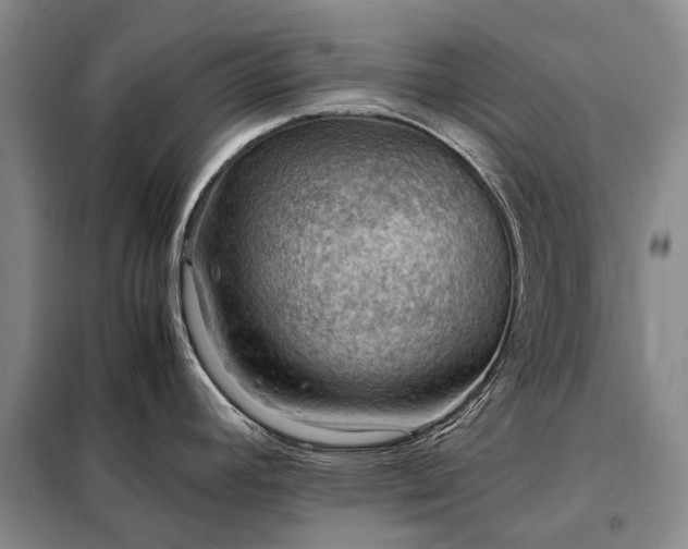 X0000098221392200805011224