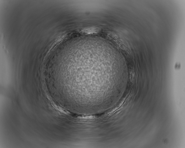 X0000098221393200805011223