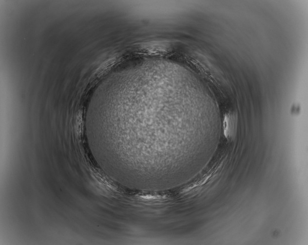 X0000098221395200805011223
