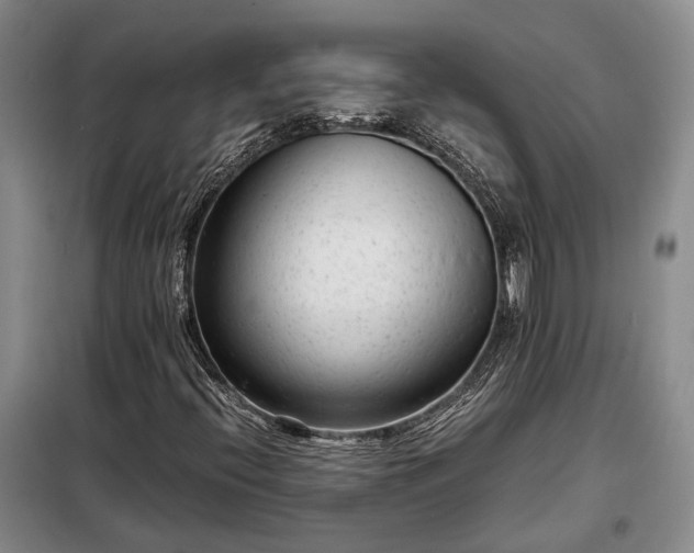 X0000098221396200805011223