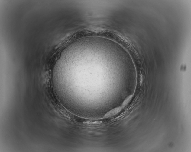 X0000098221397200805011223