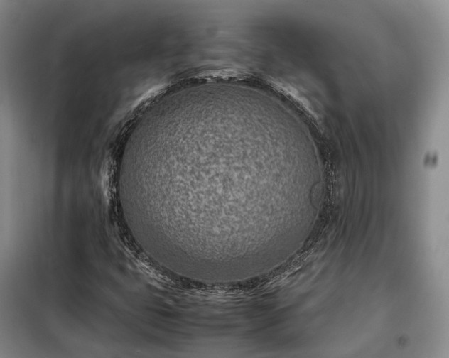X0000098221399200805011223