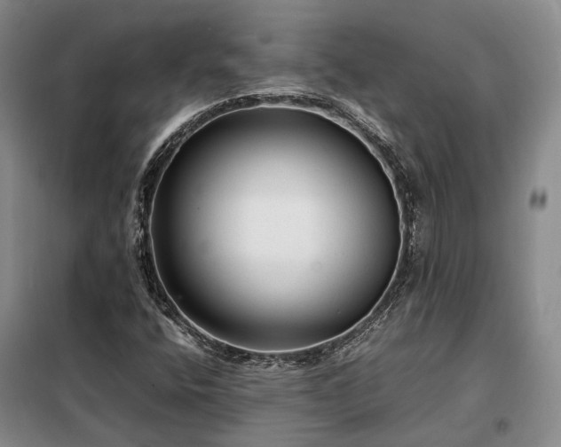 X0000098221400200805011223