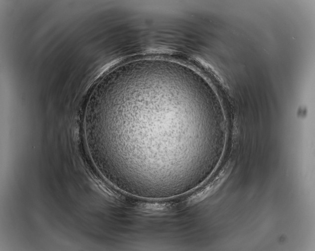 X0000098221401200805011223