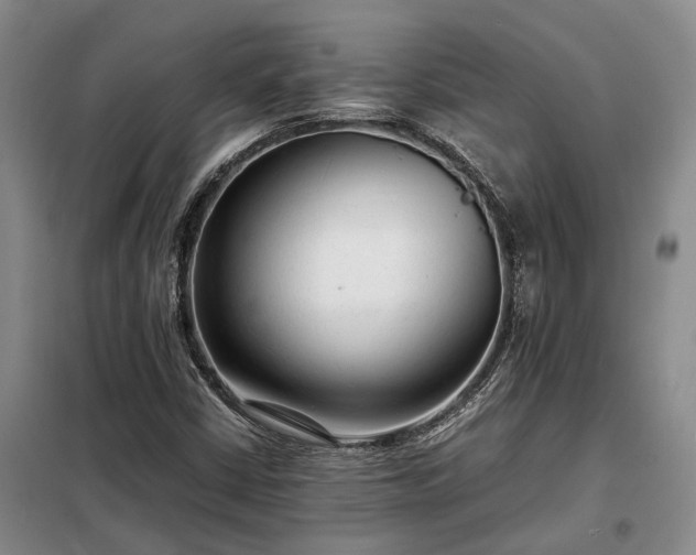 X0000098221402200805011223
