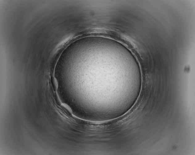 X0000098221403200805011223