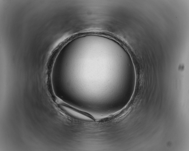 X0000098221406200805011223