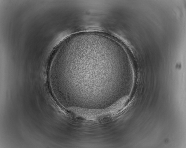 X0000098221407200805011223