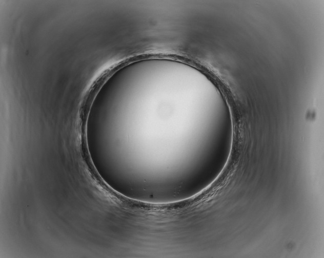 X0000098221408200805011223