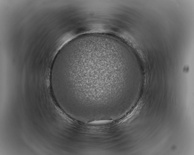 X0000098221409200805011223