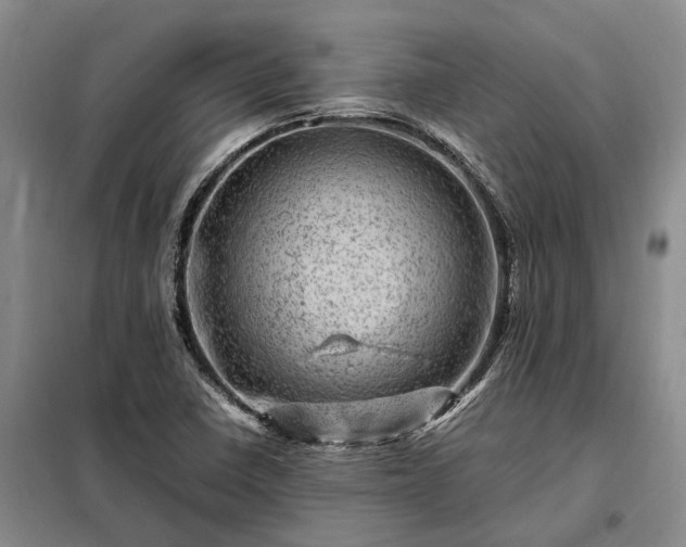 X0000098221410200805011223
