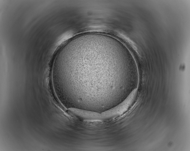 X0000098221411200805011223
