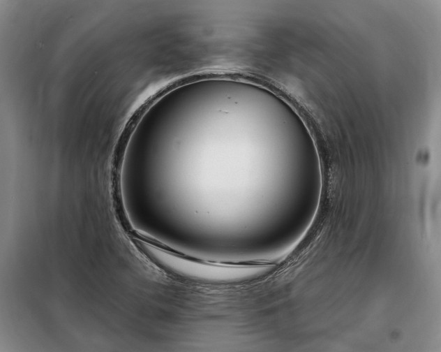 X0000098221412200805011223