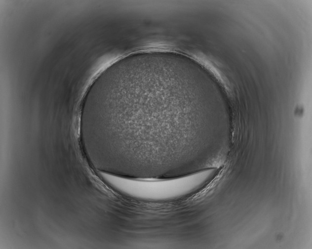 X0000098221413200805011223
